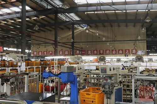 再造一個新川環 大竹川環科技擴能建新廠，科技中介服務賦能產業升級